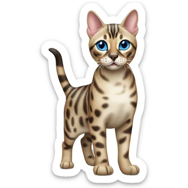 Seal Bengal cat with Blue eyes standing sticker