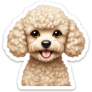 Toy poodle cream sticker