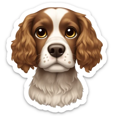 Body is dark brown little eyebrows are caramel brown white chin hair Cocker spaniel  sticker