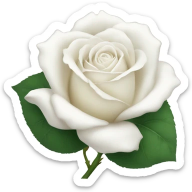 White rose sticker