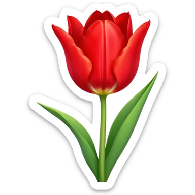 Beautiful tulip flower with vibrant petals and green stem sticker