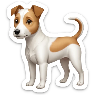 a full body slightly chubby white parson russell terrier looking dog the size of a kelpie with light brown long ears and a light brown patch on one eye and a large snout. the rest of the dog is completely white. forward facing sticker