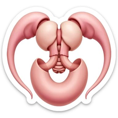 retroverted retroflexed uterus sticker