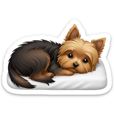 Yorkshire terrier sleeping on bed sticker