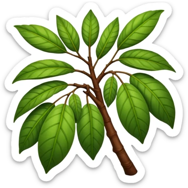 cacao tree branch with leaves sticker