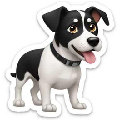 dog, black, mcnab, Mexican, street-dog sticker