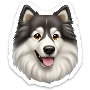 Belgian Tervuren Samoyed mixed breed dark and light sticker