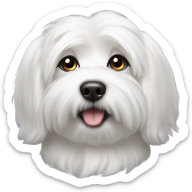 coton de tulear sticker