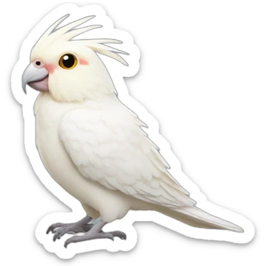 Albino cockatiel sticker