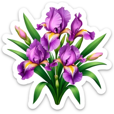 big bouquet Pink Iris, luxuriant, leaf, bud sticker