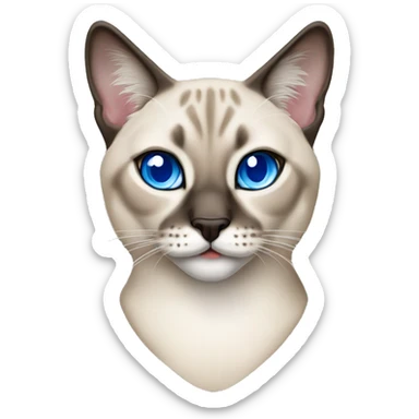 Lynx Siamese point cat with blue eyes sticker