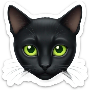 A black cat named Larry looking at you very seriously  sticker