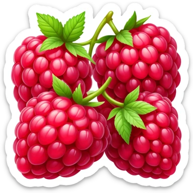 For a scanning app draw a raspberry sticker