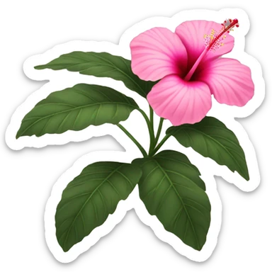 a pink hibiscus flower sticker