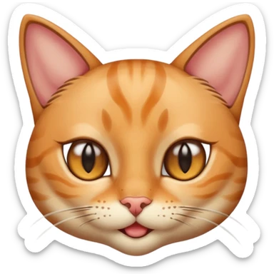 Cat eye wink sticker