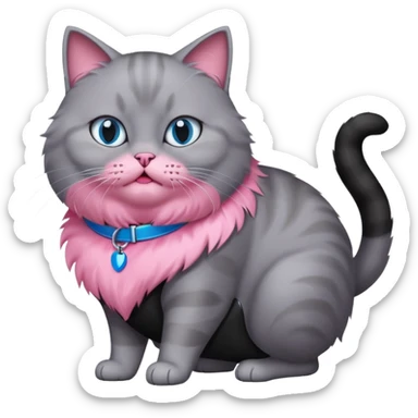Fat grey cat with blue eyes and pink collar attacking another black cat sticker