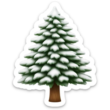  actual white fir christmas tree isolated.  sticker