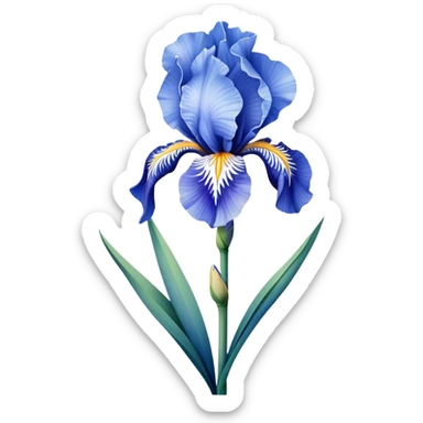 single Sky Blue Iris, straight stem sticker