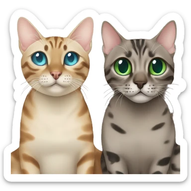 Seal Bengal cat with Blue eyes + charcoal Sepia bengal cat with Green eyes sit Next to each other  sticker