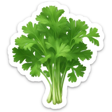 cilantro sticker