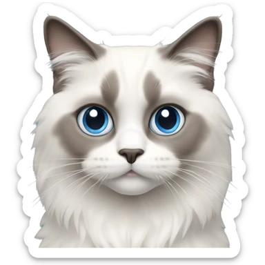 Ragdoll cat, white with gray upper face part and blue eyes sticker