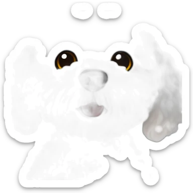 white maltipoo in the winter, having snow on the nose sticker