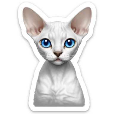 Devon Rex is white and gray with blue eyes sticker