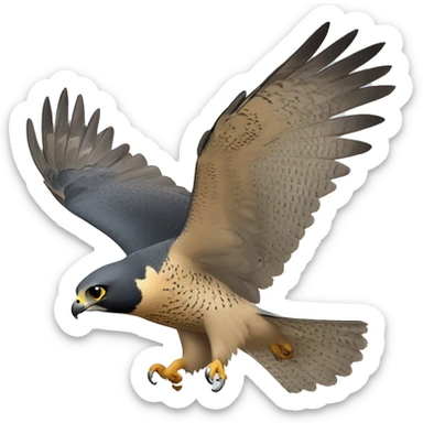 peregrine falcon flying sticker