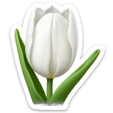 White tulips sticker