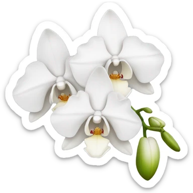 White orchid sticker