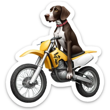 German shorthair pointer on a dirt bike sticker