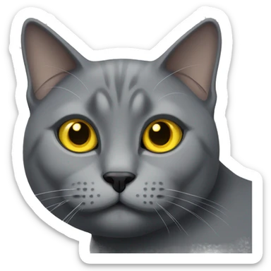 Grey British cat with yellow eyes sticker