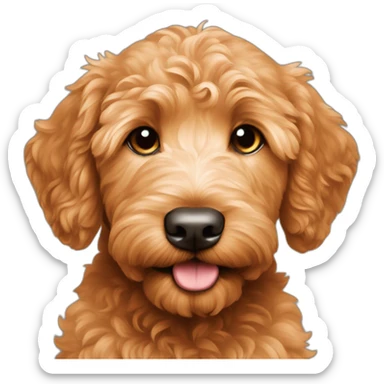 reddish-goldendoodle-puppy sticker