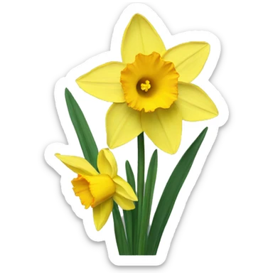 Types of daffodils sticker