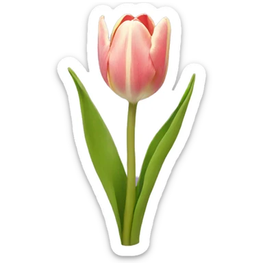Tulip sticker