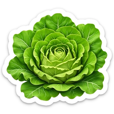 whole lettuce head, broad layered leaves, crisp, curled edges, outer leaves deep green, inner leaves lighter green to pale yellow, leafy and ruffled texture, natural veining, fresh, base stem end visible, 3D, clean, minimal, soft shadows, transparent background, emoji scale sticker