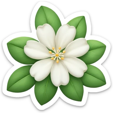 Jasmine flower sticker