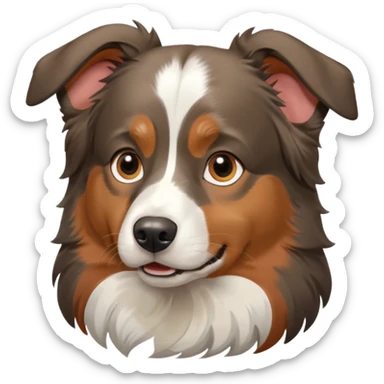 Australia Sheppard dog  sticker
