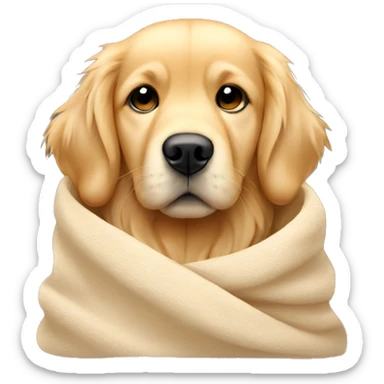 golden retriever cozy in beige blanket sticker