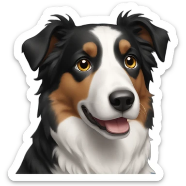 short-hair, black, border-collie sticker