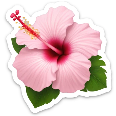 Light Pink hibiscus  sticker