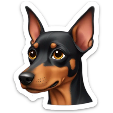 Pinscher dog sticker