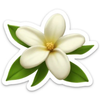 Vanilla flower sticker