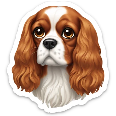 Cavalier king Charles spaniel sticker