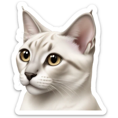 White lynx point Siamese cat with grey ears sticker