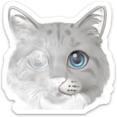 Rag doll-cat-big-blue-eyes-lynx-point sticker