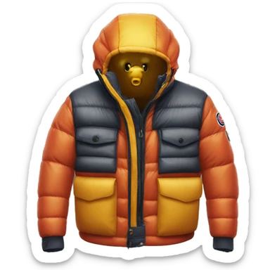 Moncler drill sticker