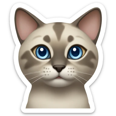 Thai breed cat with a light cream -brown body, dark gray-brown face, ears, and paws. Short fur, sharp ears, striking light blue eyes  sticker