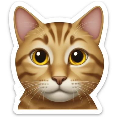 Cat tabby sticker