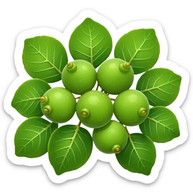 sea grape which is green looking like a grape. but way more tiny ones sticker